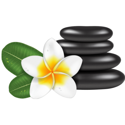 Máy giải cơ-duoc-ban-tai-Spa Khiếm Thị Hey