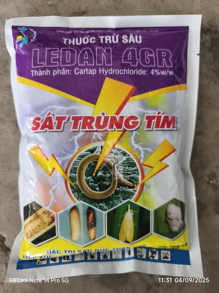 Sát trùng tím LEDAN 4GR-duoc-ban-tai-VTNN A Mùi