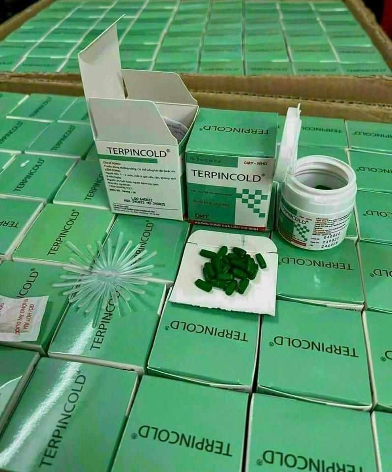 Terpin lọ hà tây-duoc-ban-tai-Kho sỉ thuốc, tpcn