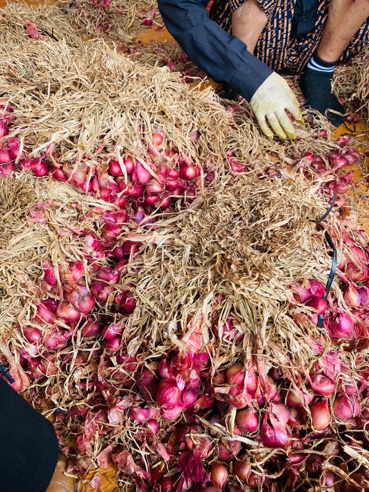 tím xù-duoc-ban-tai-Nông Sản Hà Nga