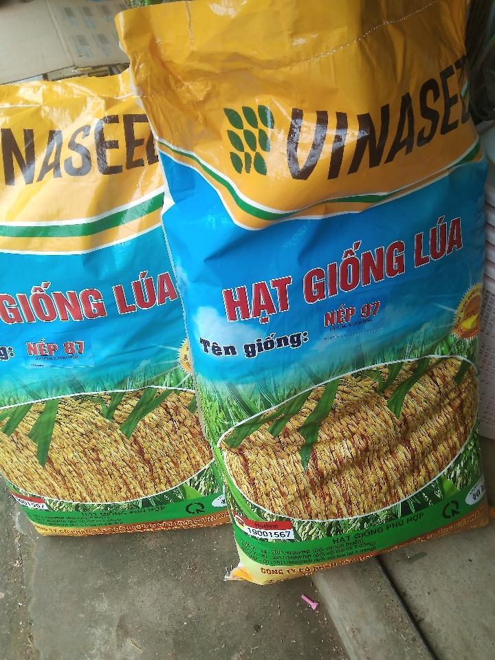 Thóc giống 87, 97 tw 40gói/bao-duoc-ban-tai-Cửa Hàng Tạp Hoá Luân Dung
