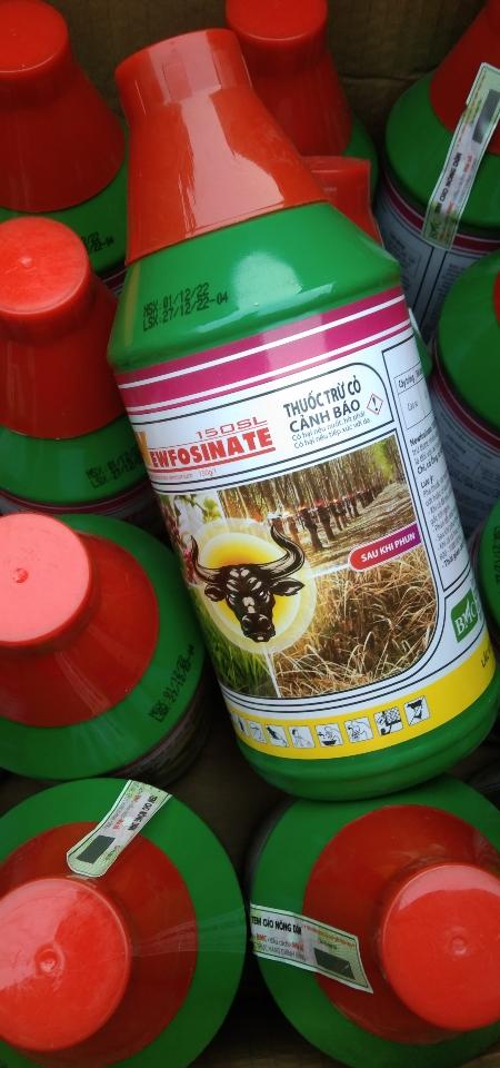 Chậm vua trâu đen-duoc-ban-tai-Cửa Hàng Tạp Hoá Luân Dung