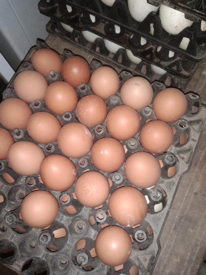 Trứng gà to 30qua/khay -duoc-ban-tai-Cửa Hàng Tạp Hoá Luân Dung
