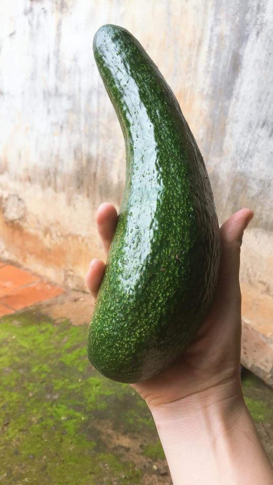 Bơ 034 lẻ kg-duoc-ban-tai-Bếp Việt Food