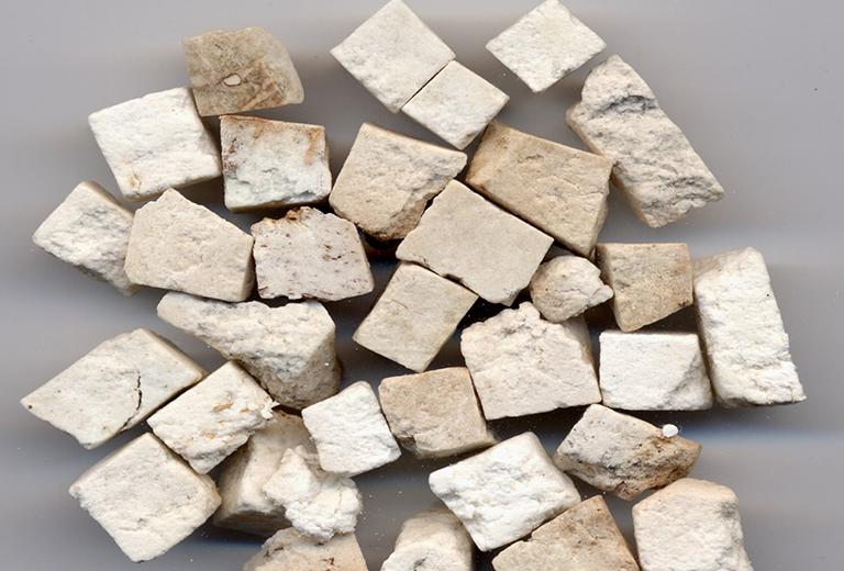 Bạch Linh (Phục Linh)-duoc-ban-tai-Đông y Việt Phương