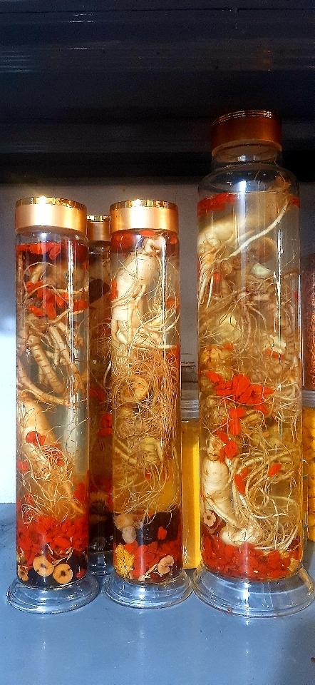 1 củ Tam thất tươi rửa sạch 70-100gram, hút chân không để ngâm rượu, ngâm mật ong-duoc-ban-tai-Đông y Việt Phương