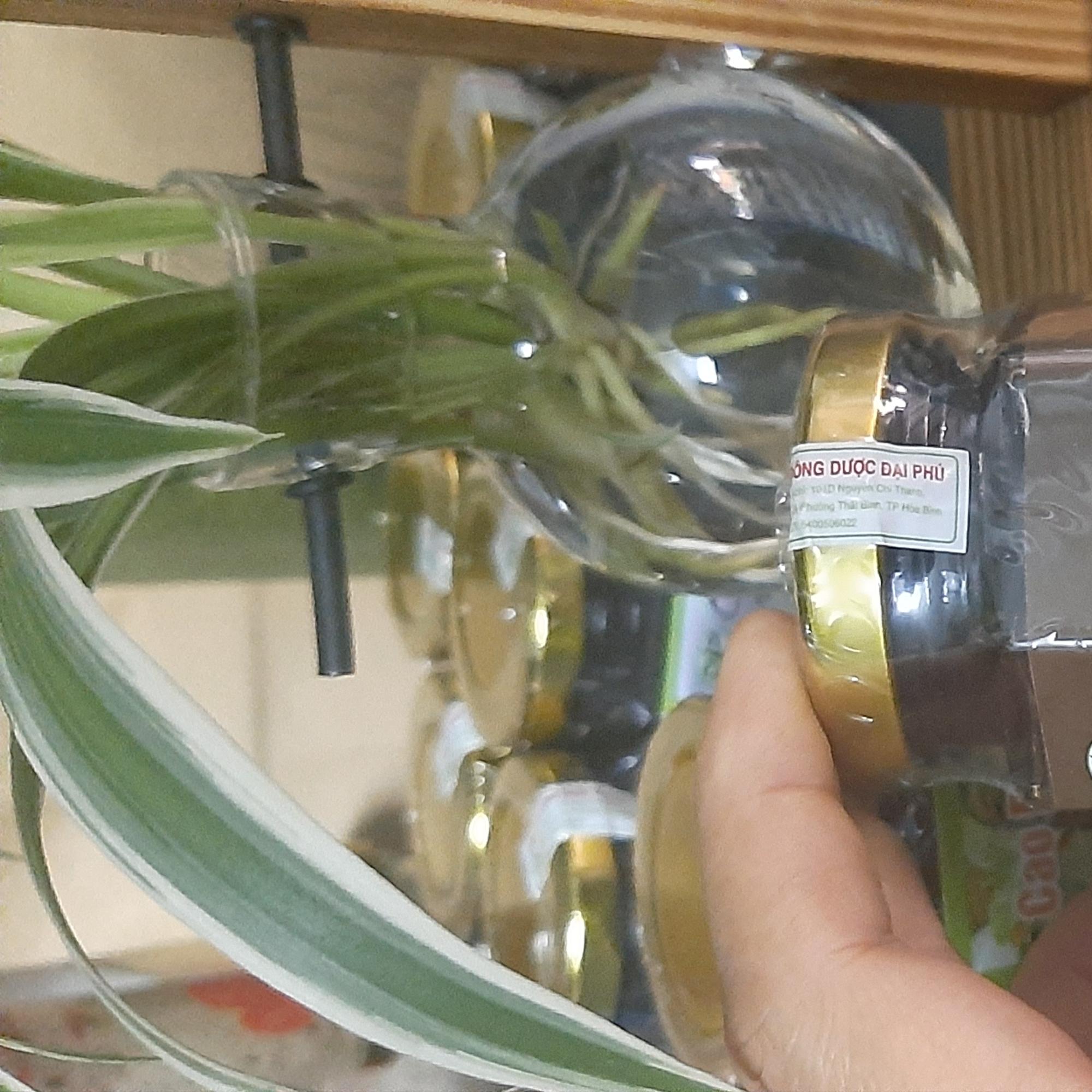 Cao Hà Thủ Ô-Tam Thất-duoc-ban-tai-Đông y Việt Phương