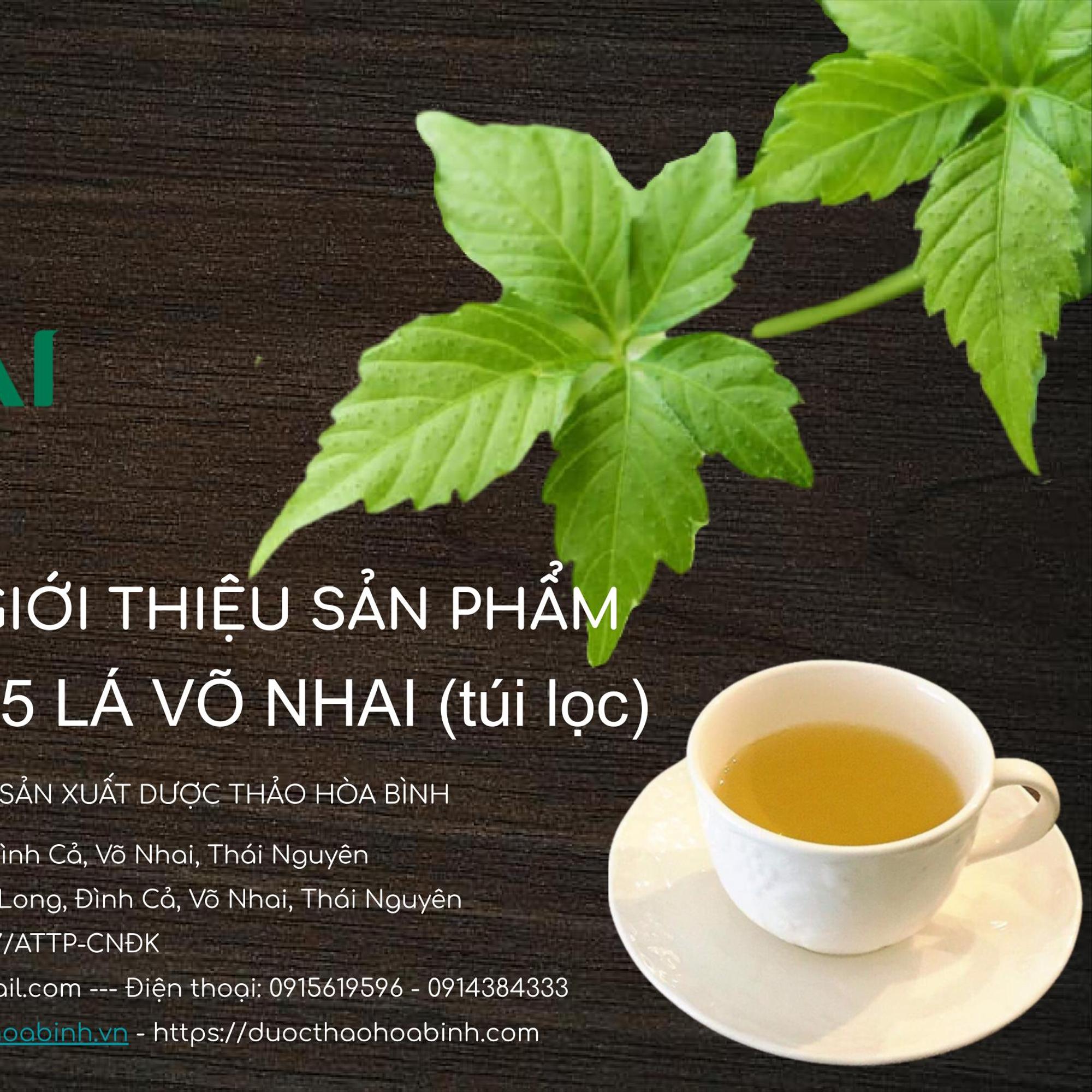 Trà giảo cổ lam 5 lá Võ Nhai (túi lọc) - Tinh tuý từ đỉnh núi cao - sản phẩm OCOP Thái Nguyên: Không đường, Tự nhiên-duoc-ban-tai-Đông y Việt Phương