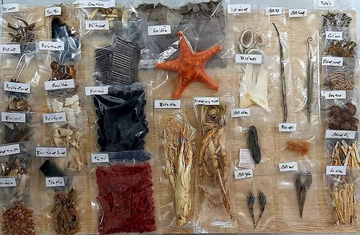 Minh mạng thang gia giảm - loại thượng hạng-duoc-ban-tai-Đông y Việt Phương