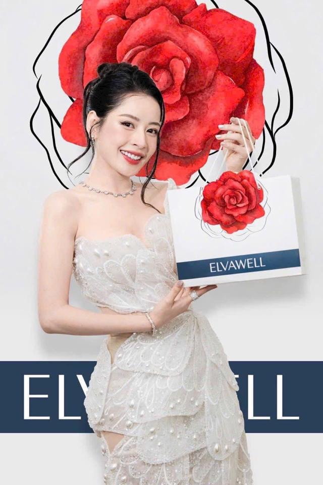 Túi hoa Hồng + thiệp ELVAWELL -duoc-ban-tai-Chan Chan shop