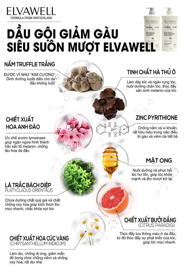 Dầu gội giảm gàu trắng ELVAWELL -duoc-ban-tai-Chan Chan shop