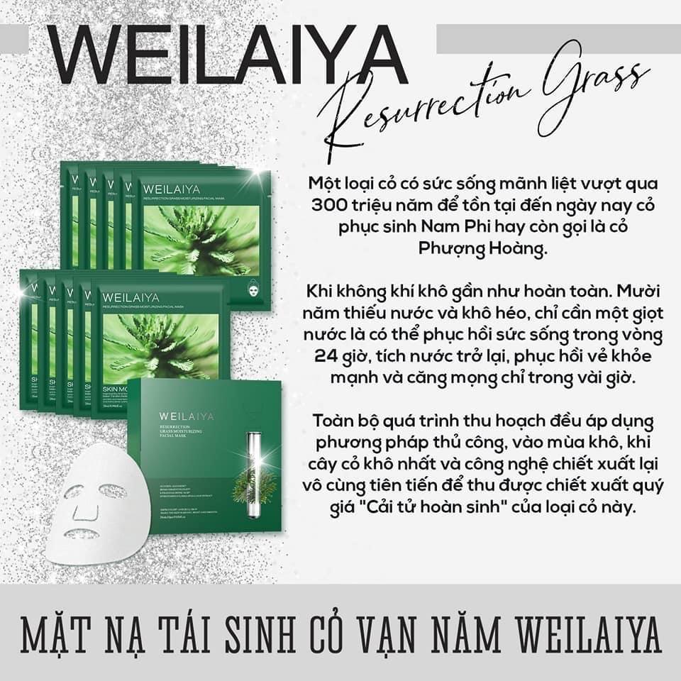 Nạ cỏ vạn năm-duoc-ban-tai-Chan Chan shop