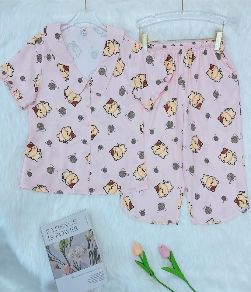 Lửng mango tô châu M-duoc-ban-tai-Chan Chan shop
