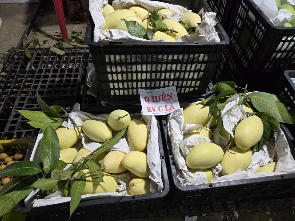 Keo vàng -duoc-ban-tai-Tổng kho hoa quả Tùng Béo