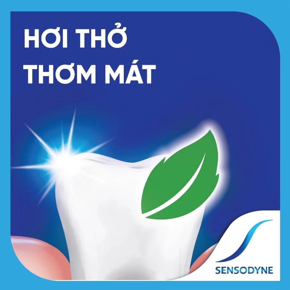 Kem Đánh Răng Sensodyne Fresh Mint Bạc Hà The Mát-duoc-ban-tai-TỔNG KHO TRẦN DUNG