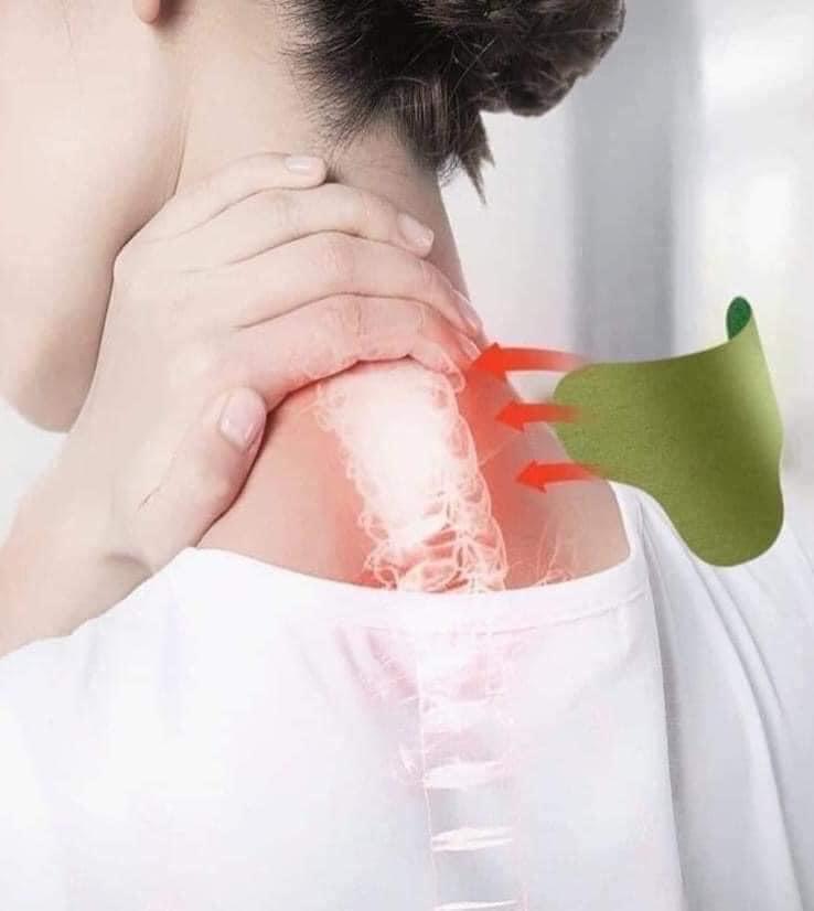 Miếng dán ngải cứu đau mỏi vai gáy -duoc-ban-tai-TỔNG KHO TRẦN DUNG