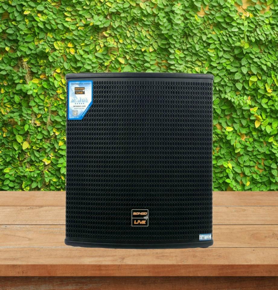Loa Sub  điện 30-duoc-ban-tai-Duy Hậu Audio