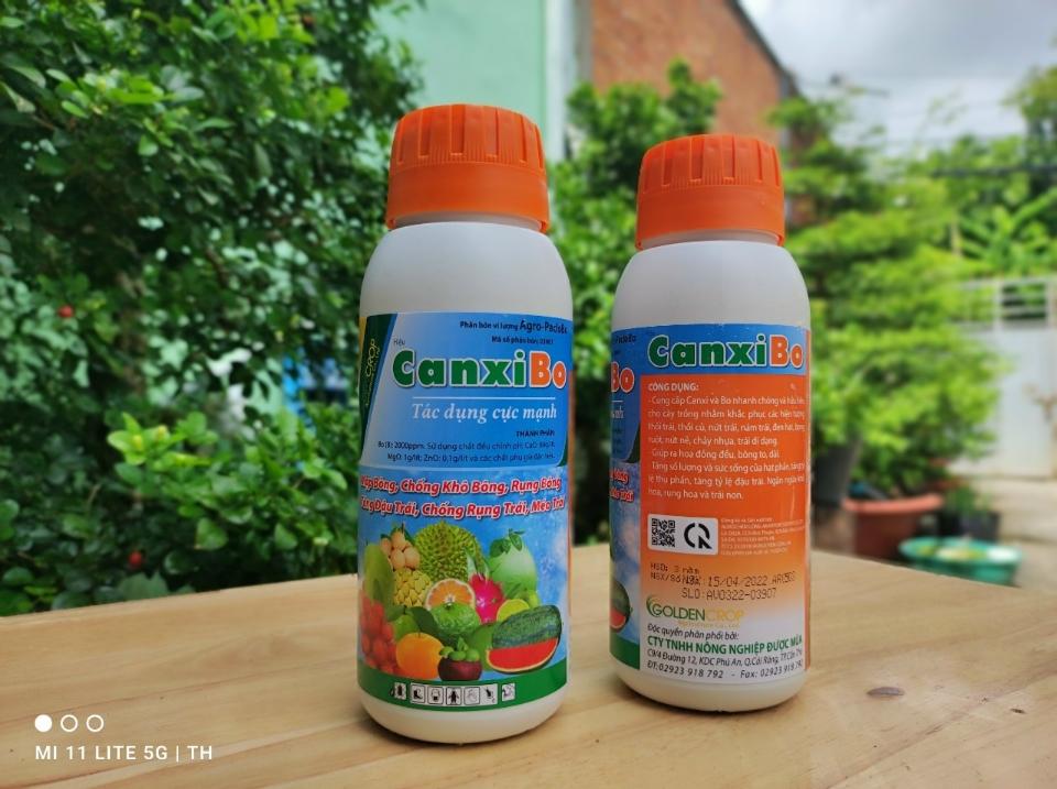 CanxiBo - Lớn trái Chắc ruột-duoc-ban-tai-C.ty Được Mùa & Trúng Giá
