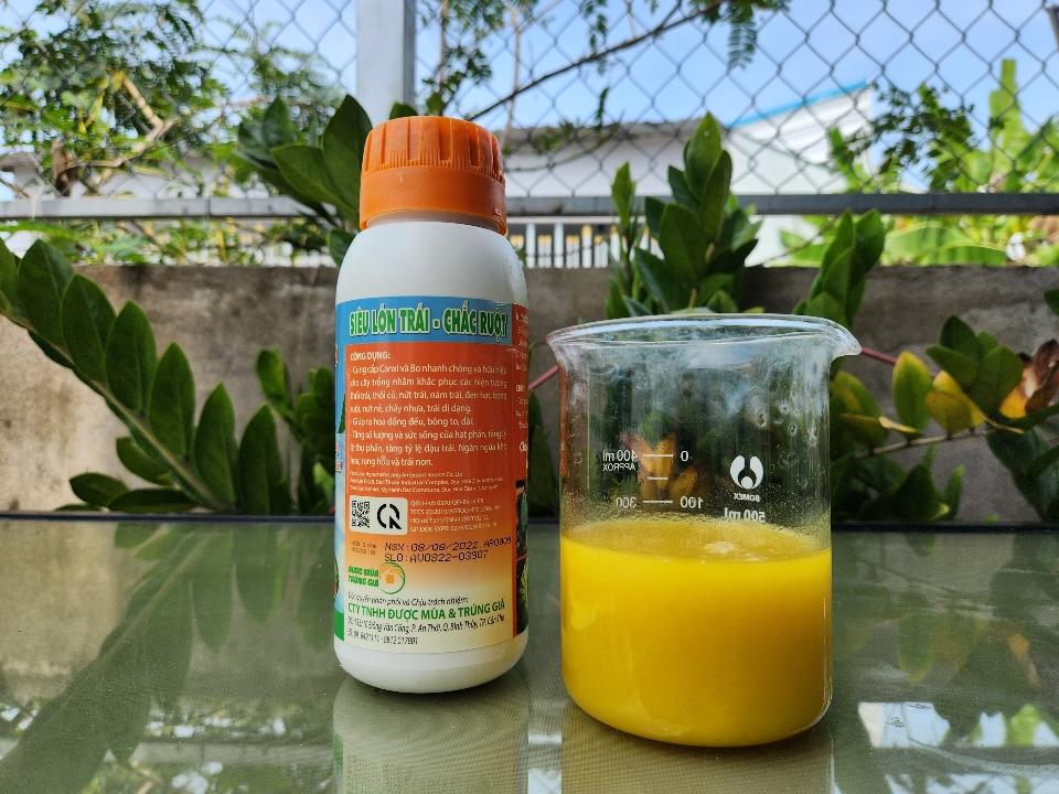 CanxiBo - Lớn trái Chắc ruột-duoc-ban-tai-C.ty Được Mùa & Trúng Giá