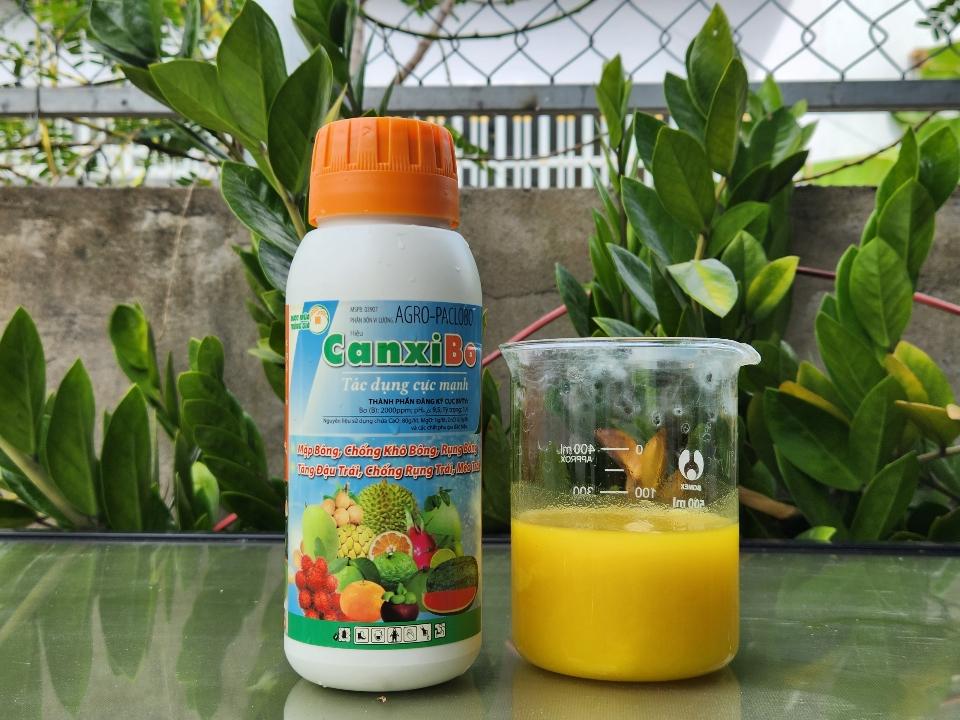 CanxiBo - Lớn trái Chắc ruột-duoc-ban-tai-C.ty Được Mùa & Trúng Giá