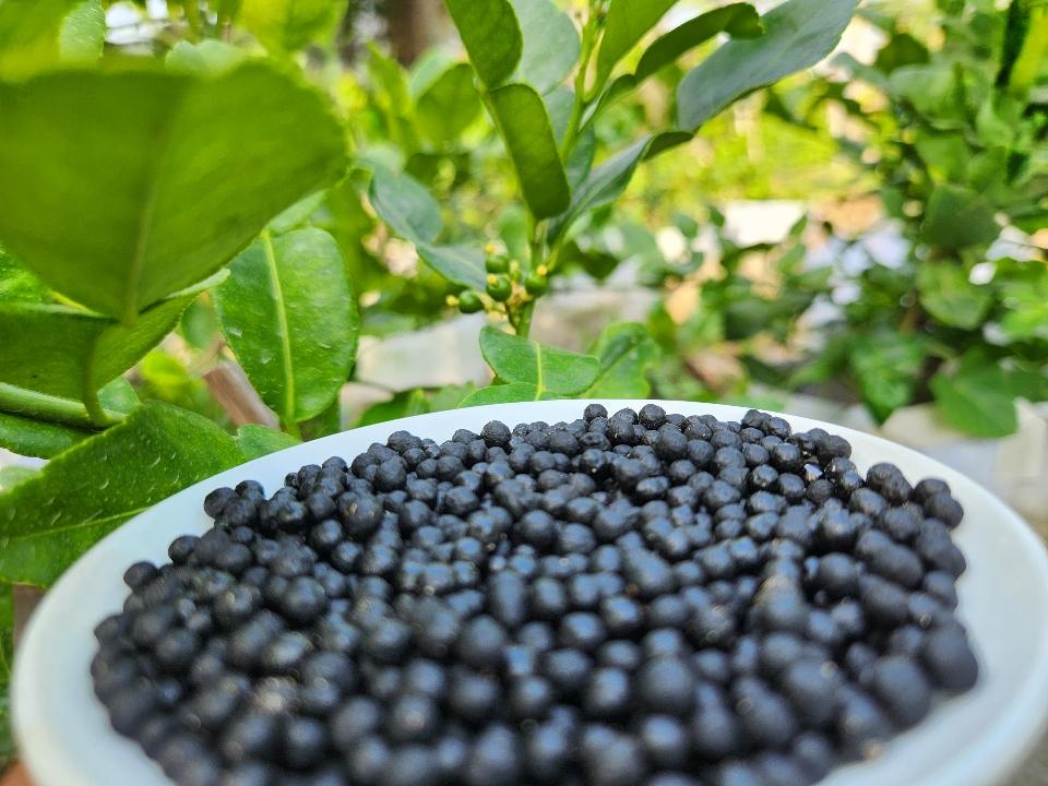 Phân hữu cơ nhập khẩu DD ROOTS-duoc-ban-tai-C.ty Được Mùa & Trúng Giá