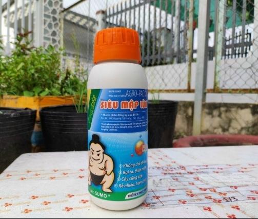 Siêu Mập Lùn SUMO-duoc-ban-tai-C.ty Được Mùa & Trúng Giá