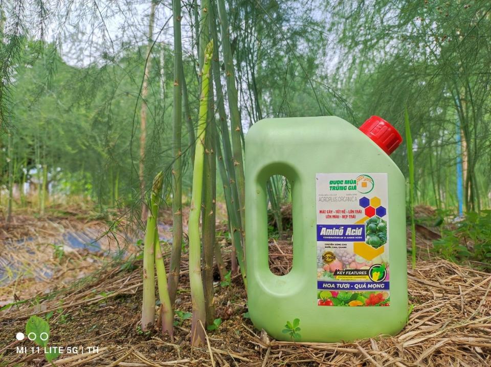 Amino 25% (1000ml)-duoc-ban-tai-C.ty Được Mùa & Trúng Giá