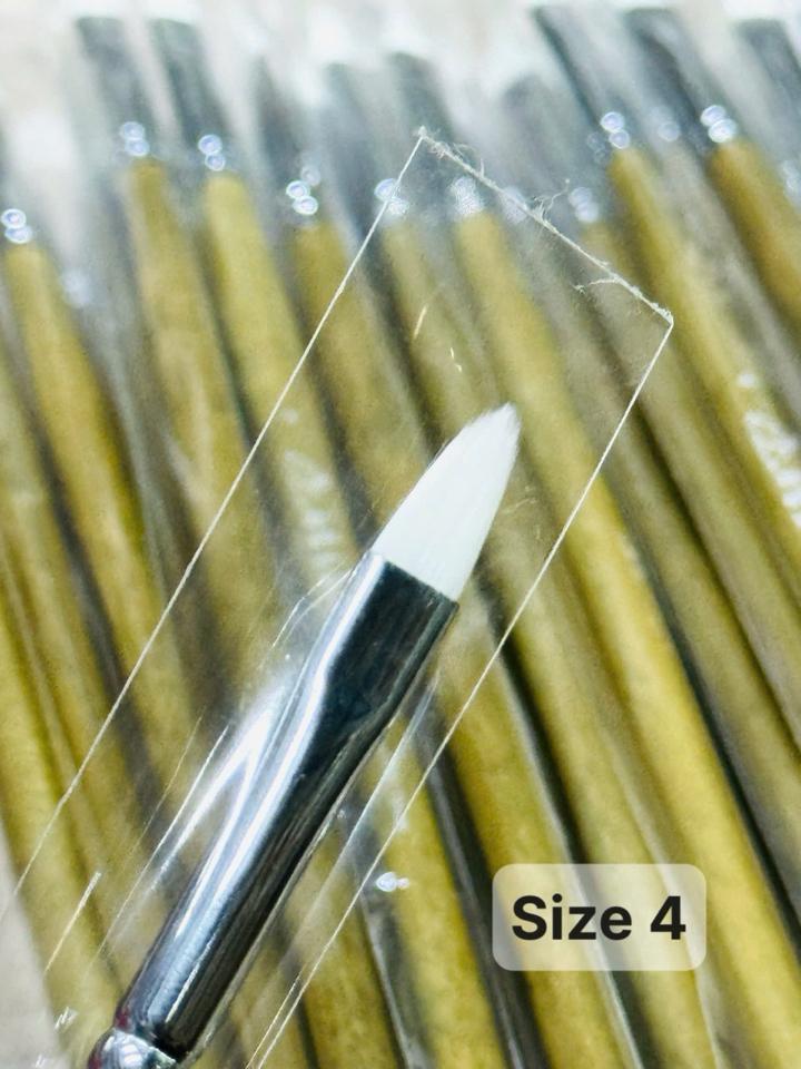 Cọ tô màu Oval thân rêu-duoc-ban-tai-Que Sera Arts & Lifestyle