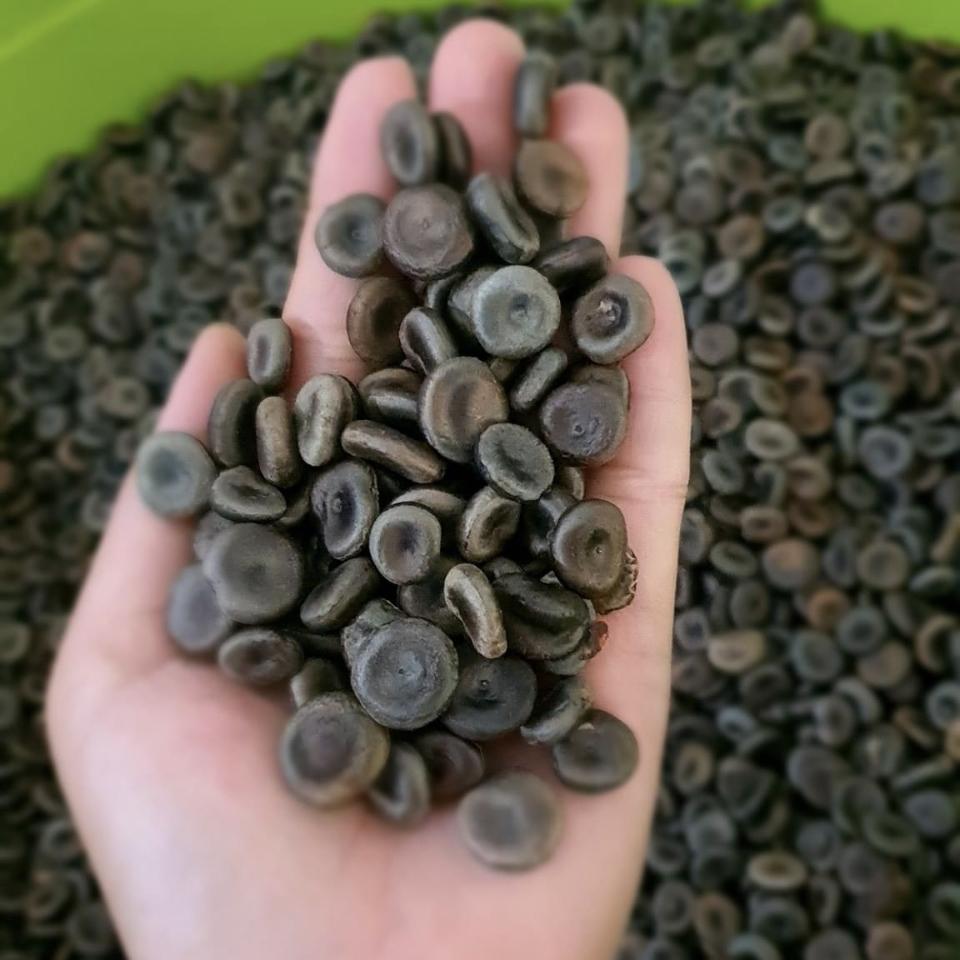 Mã tiền đen 1kg-duoc-ban-tai-0975662768
