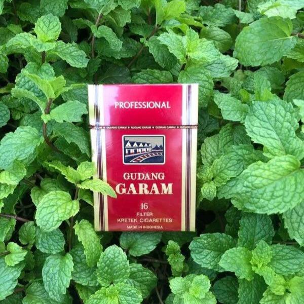 Gudang garam-duoc-ban-tai-THUỐC LÁ THƠM SMOKE & CHILL