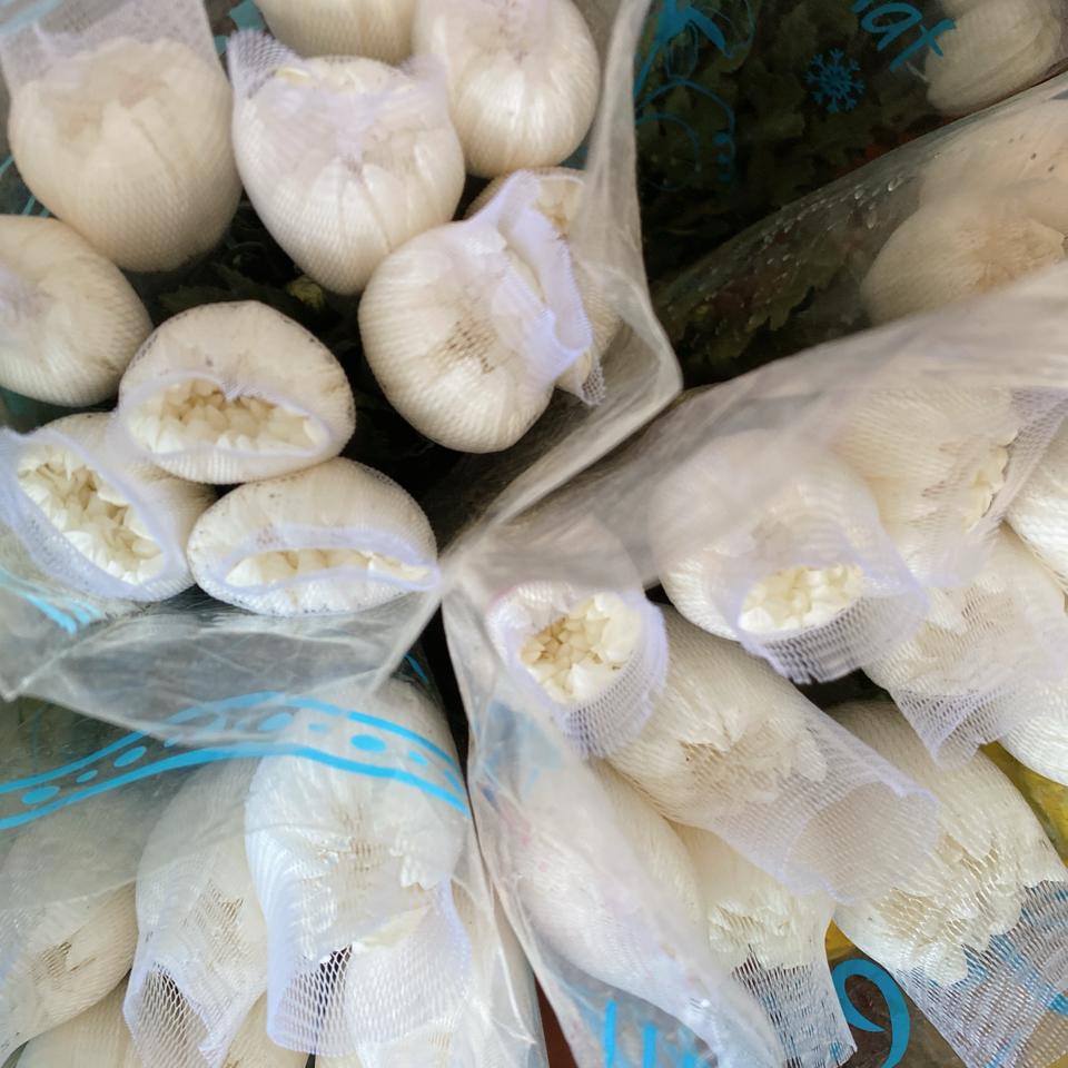 Cúc trắng-duoc-ban-tai-Hoa Đông Hà
