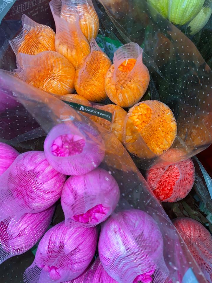 Cúc nhuộm-duoc-ban-tai-Hoa Đông Hà