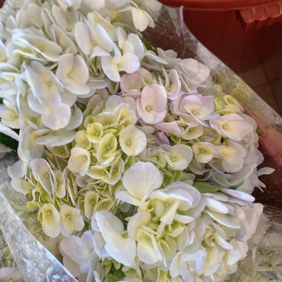 Tú cầu-duoc-ban-tai-Hoa Đông Hà