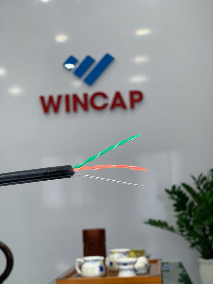 WINCAP DÂY CÁP MẠNG CAT3E OUTDOOR CCA 25AWG-duoc-ban-tai-MINH TRÍ COMPUTER