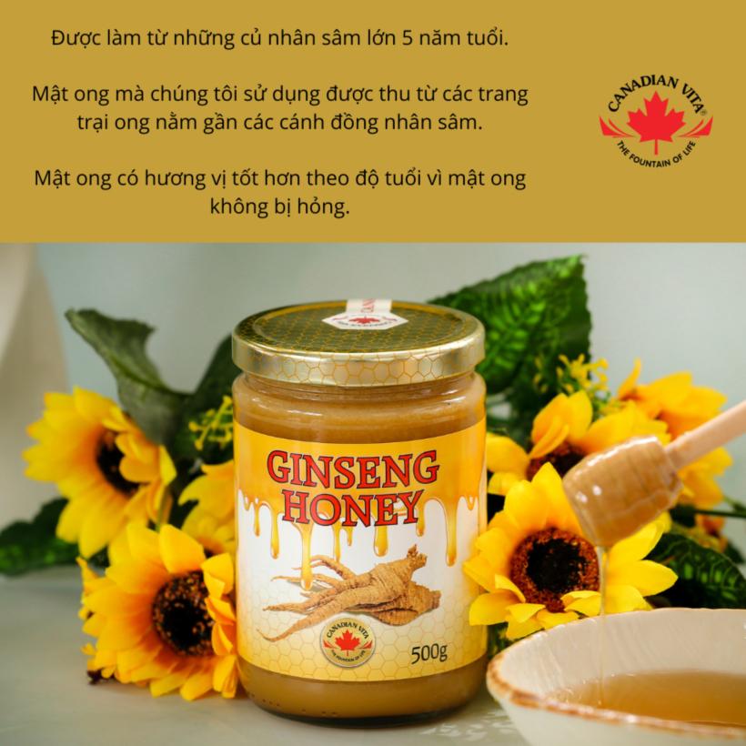 Mật Ong Nhân Sâm Canadian Vita Ginseng Honey (kèm túi) (DR0122-L01)-duoc-ban-tai-Minh Phát Emart
