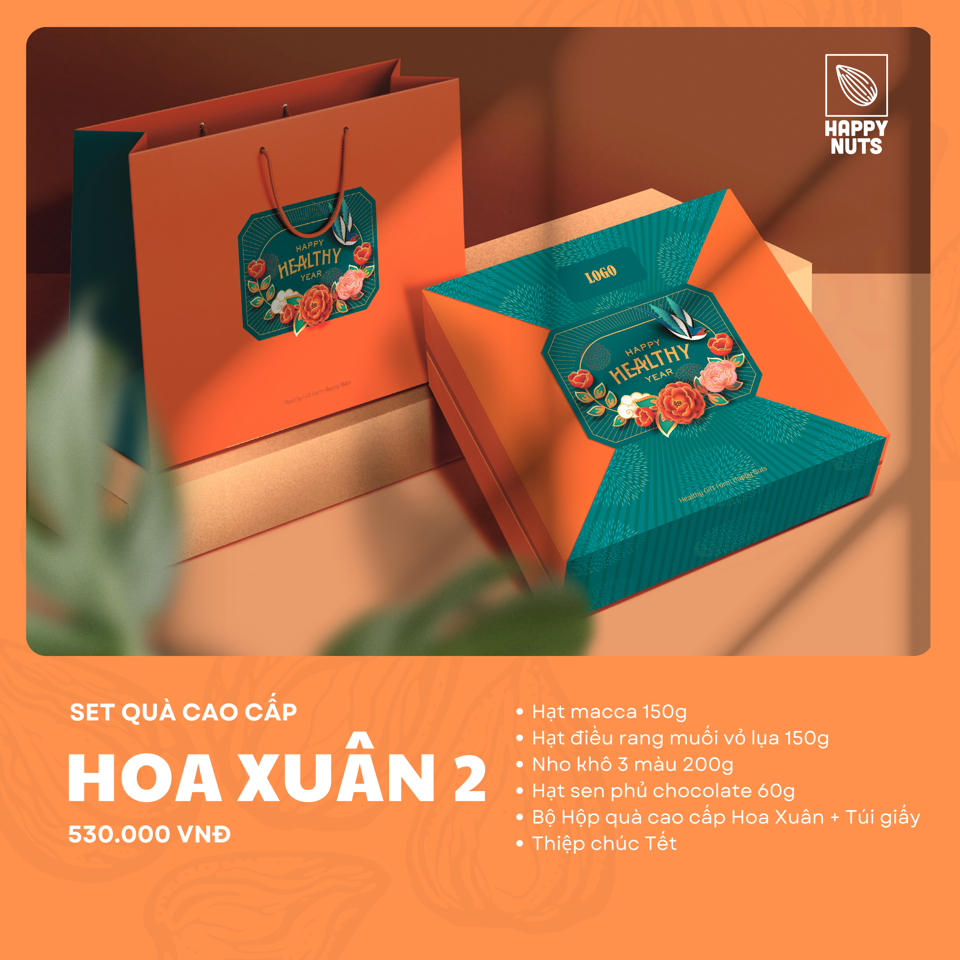 Hộp Quà Tết 2025 - Hoa Xuân 2 (kèm túi) (DR0089-L01)-duoc-ban-tai-Minh Phát Emart