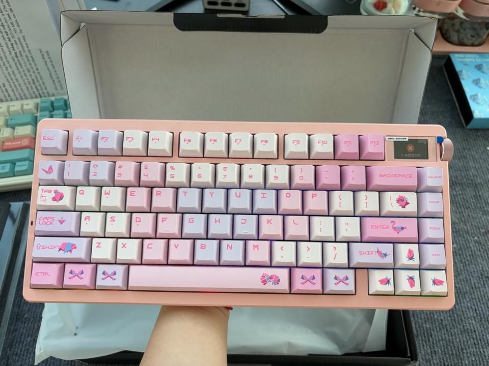 Aula Nova Max -duoc-ban-tai-KA Studio Q7