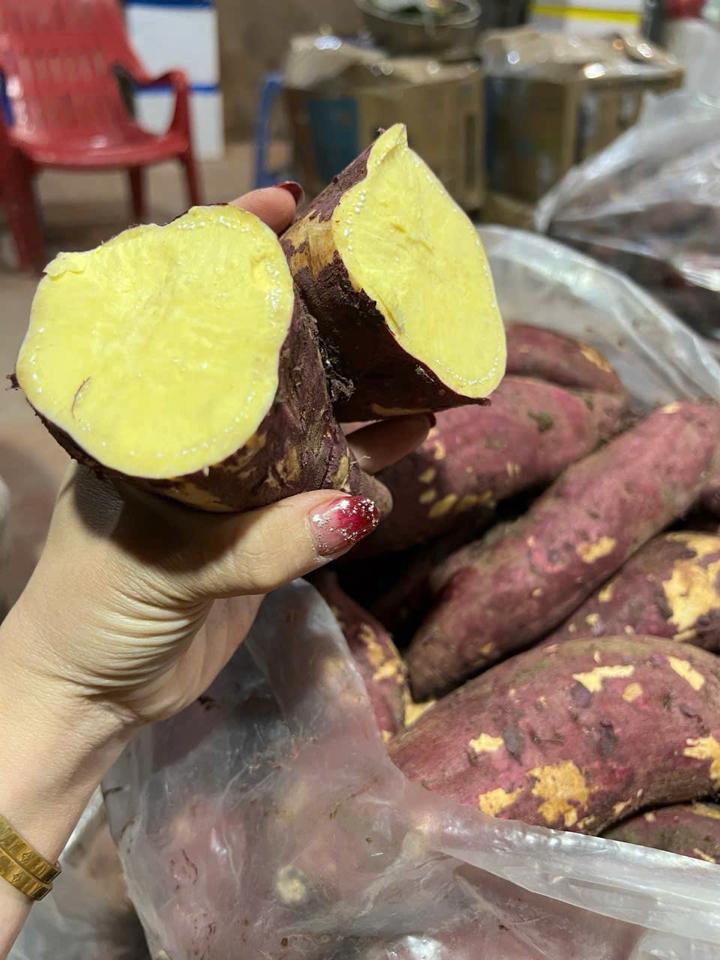 KHOAI LANG NHẬT-duoc-ban-tai-Happy Tổng Kho