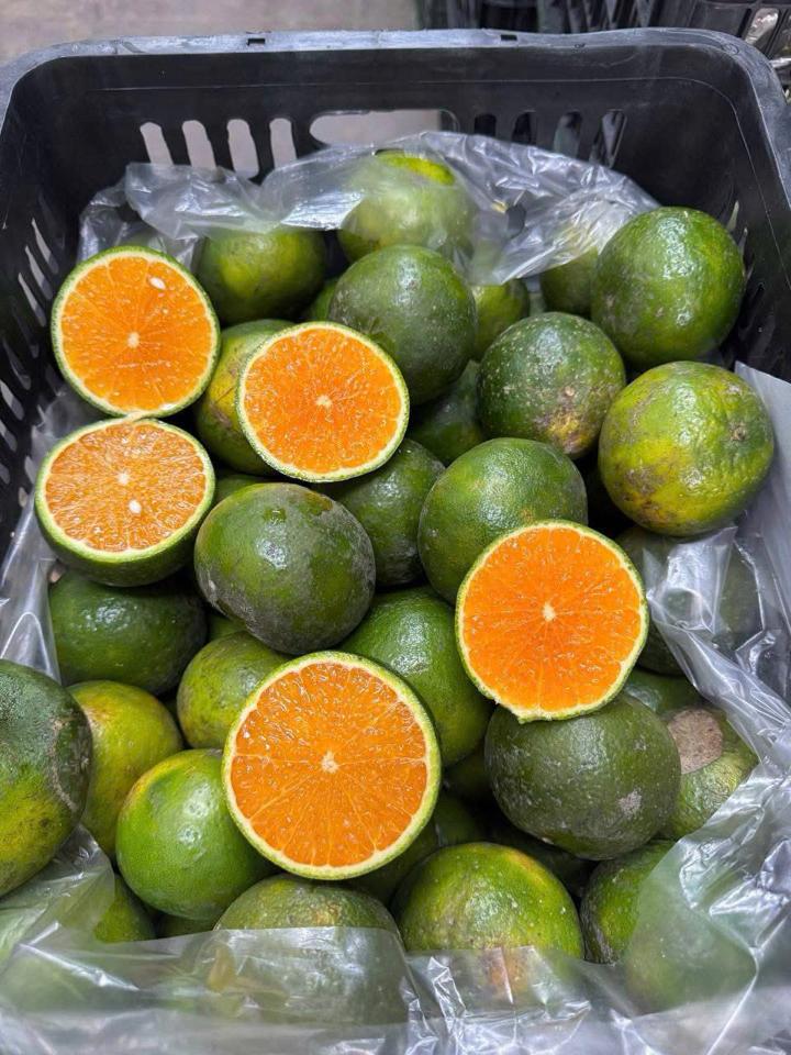 Cam Sành-duoc-ban-tai-Happy Tổng Kho