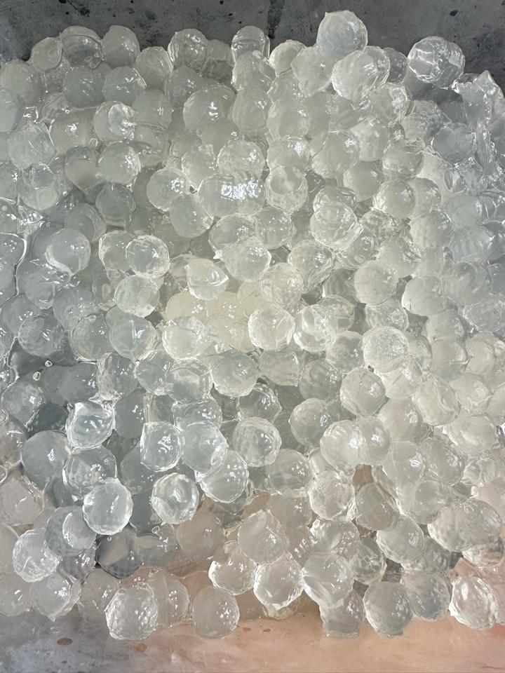 Trân Châu Trắng-duoc-ban-tai-HEGEN Milktea