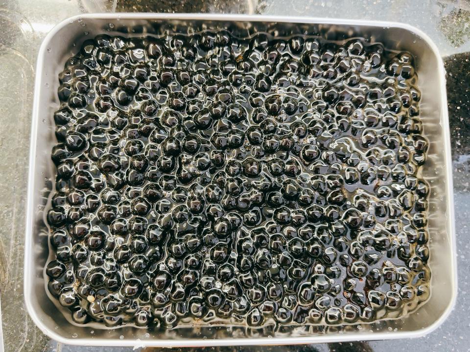 Trân Châu Đen-duoc-ban-tai-HEGEN Milktea