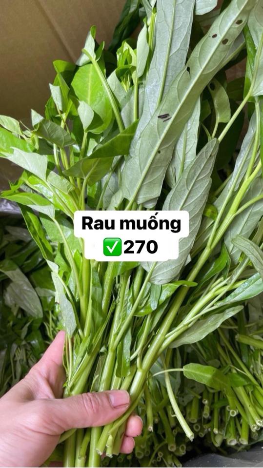 Rau muống-duoc-ban-tai-XUÂN SHOP VIỆT NHẬT - SMILE MART HIGASHIMATSUYAMA