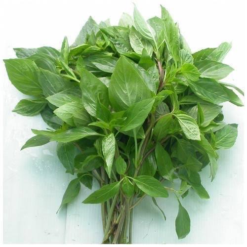 Rau thơm Húng quế-duoc-ban-tai-XUAN SHOP RANZAN