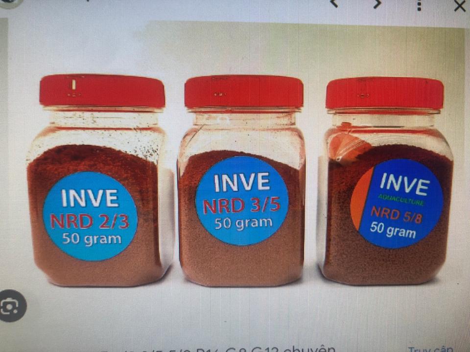 Cám thái 3/5-duoc-ban-tai-Sỹ Thanh Aquarium Hà Tĩnh