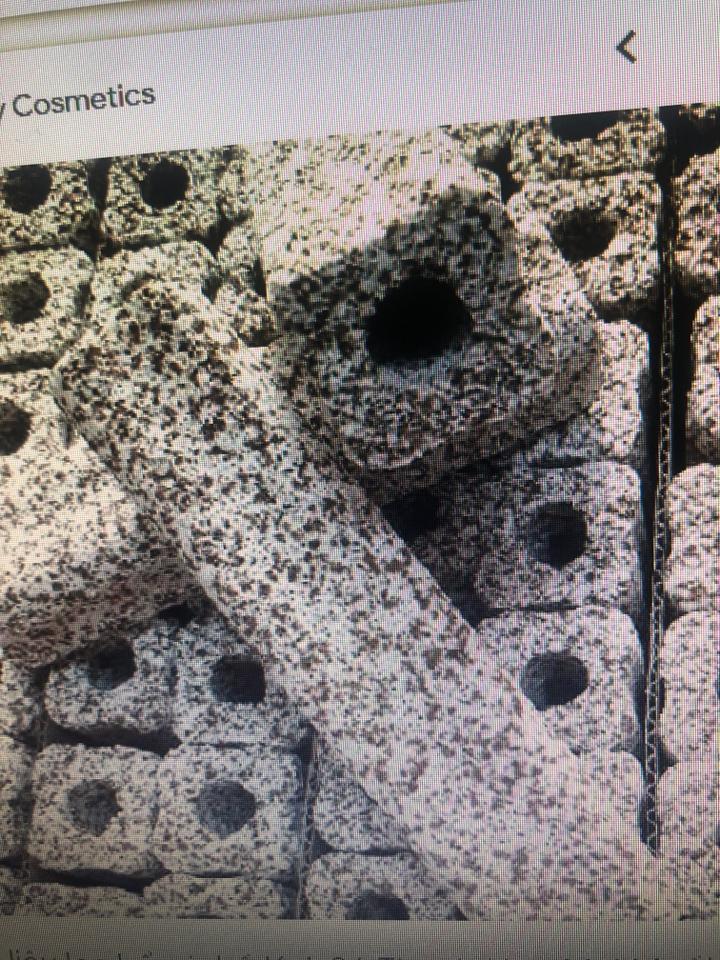 Sứ thanh-duoc-ban-tai-Sỹ Thanh Aquarium Hà Tĩnh