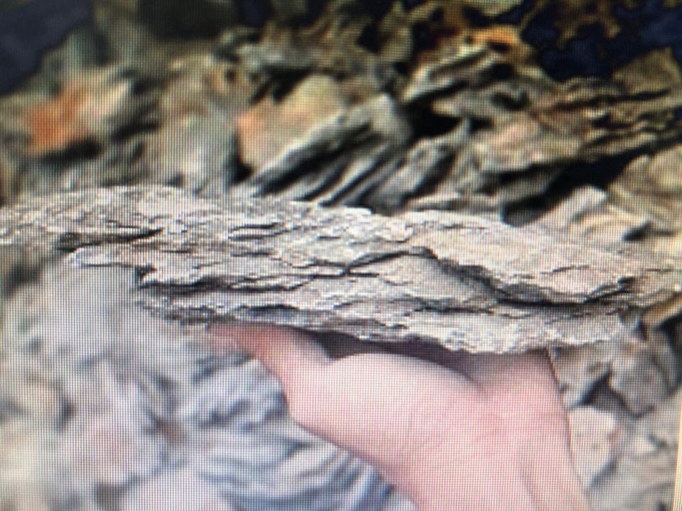 Đá vỉa-duoc-ban-tai-Sỹ Thanh Aquarium Hà Tĩnh