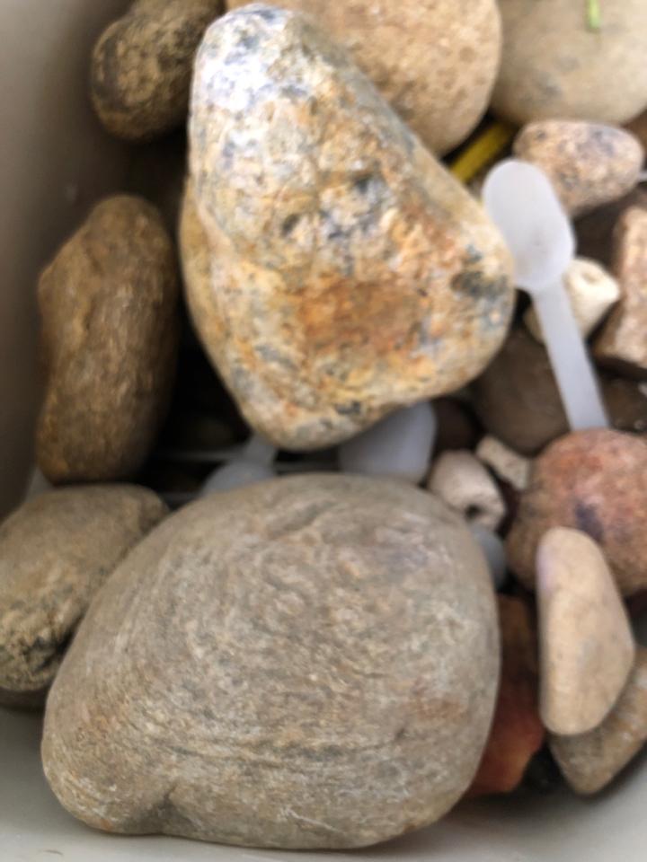 Đá cuội-duoc-ban-tai-Sỹ Thanh Aquarium Hà Tĩnh