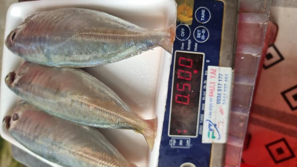 Cá nục sồ-duoc-ban-tai-Hải Sản Xuân Tiếng