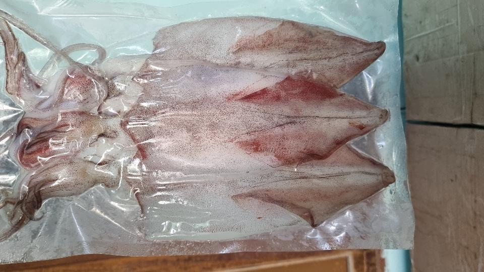 MỰC DẺO-duoc-ban-tai-Hải Sản Xuân Tiếng
