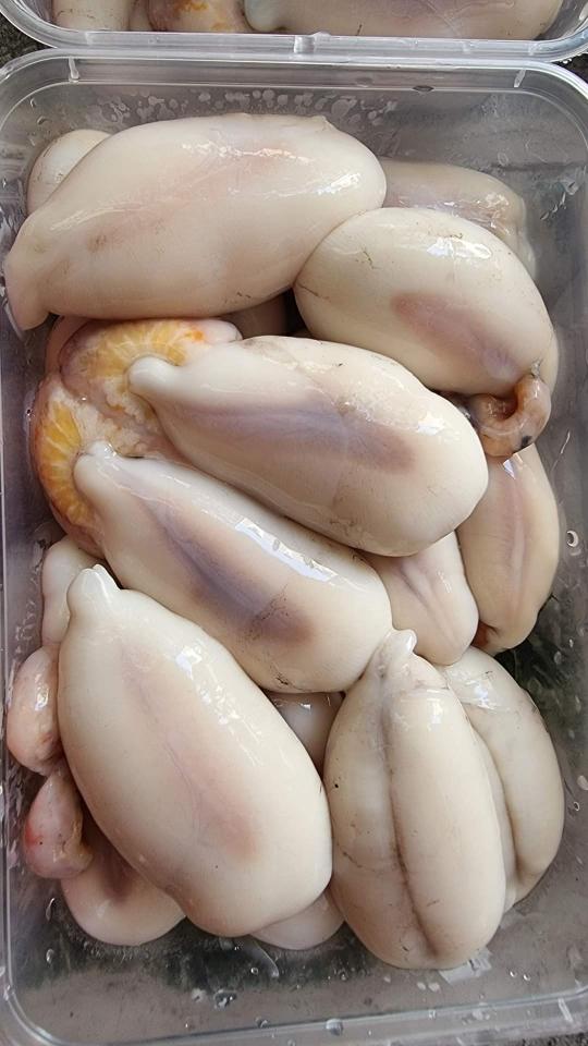 TRỨNG MỰC-duoc-ban-tai-Hải Sản Xuân Tiếng